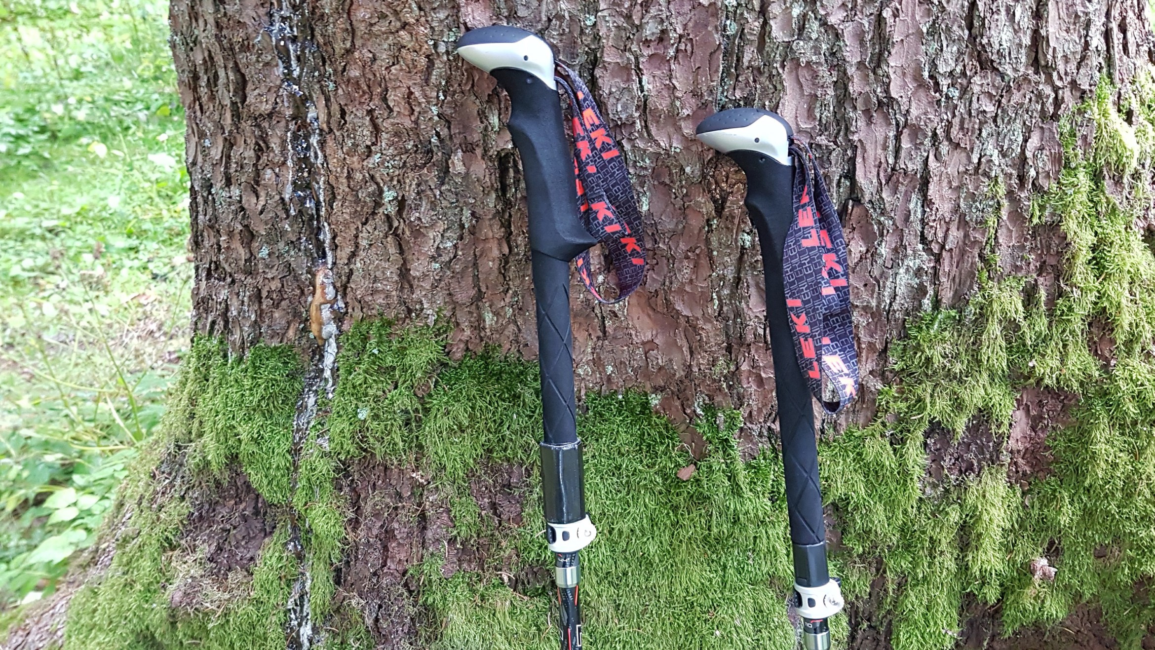 Leki Micro Carbon Vario poles - are they the best?