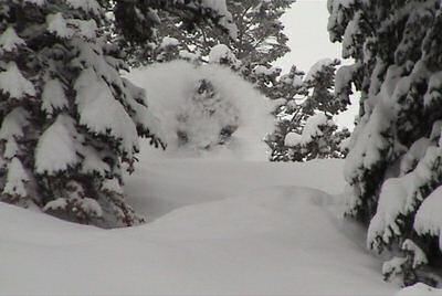 SkiBumPoet