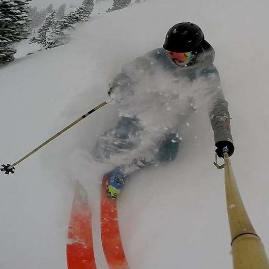 The Daily POW